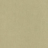 Nassimi Fabric Persuasion Concrete