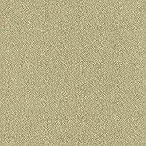 Nassimi Fabric Persuasion Concrete