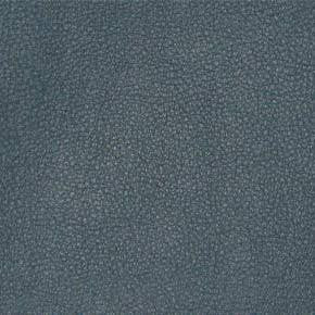 Persuasion Meridian TPE-018 by Nassimi Designer Fabric our website for purchase 100% Vinyl USA or Asia Water-based cleaning agents and foam may be used for cleaning. This fabric may also be cleaned with mild, water-free solvents. Cleaning by a professional cleaning service is recommended. Horizontal: - and Vertical: - 54" - Swanky Fabrics -