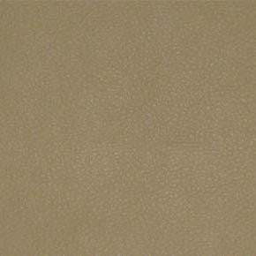Nassimi Fabric Persuasion Sand