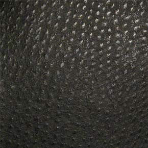Phoenix Caviar TPH-003 by Nassimi Designer Fabric See sample 100% Vinyl USA or Imported Water-based cleaning agents and foam may be used for cleaning. Cleaning by a professional cleaning service is recommended. </p><p>Repeat: Horizontal: and Vertical: 54" - Swanky Fabrics -
