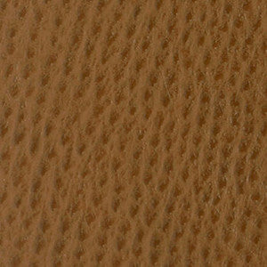 Nassimi Fabric Phoenix Chestnut