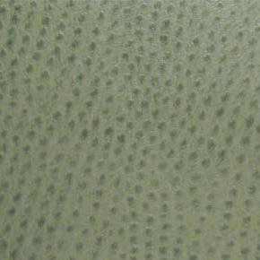 Nassimi Fabric Phoenix Drizzle