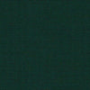 Sunbrella Fabric SJA 3998 137 Solids Pinea