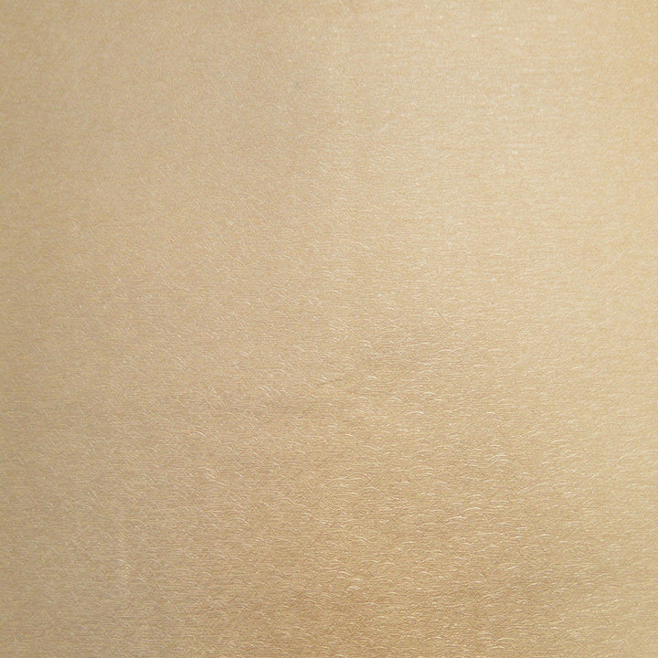 Pioneer 18 by Europatex Designer Fabric Pioneer 40% Polyester, 55% PVC, 5% PU 55.00 inches - Swanky Fabrics -