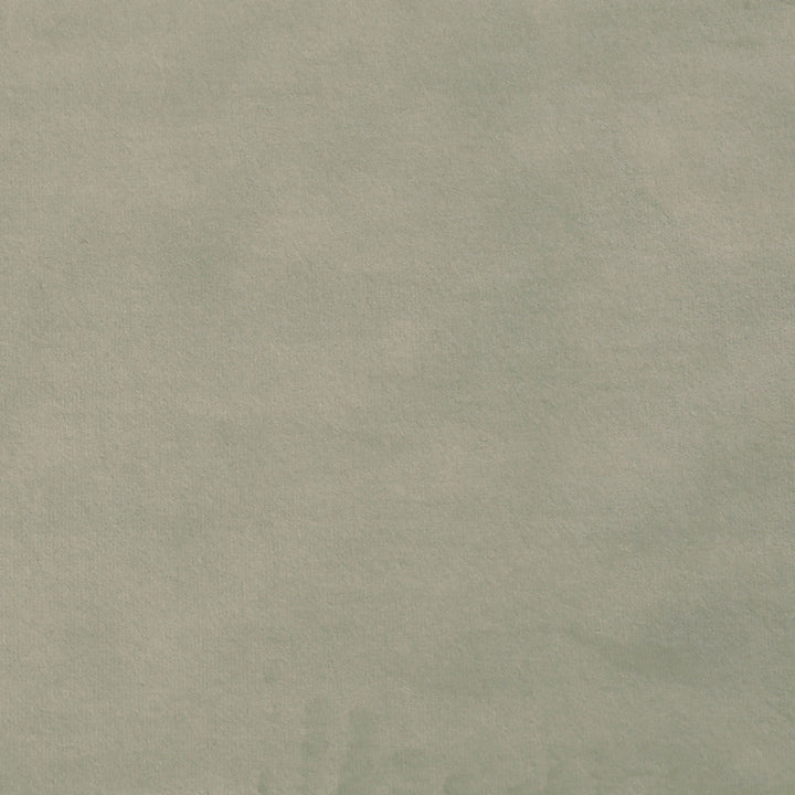 Plush 04 by Europatex Designer Fabric Plush 100% Polyester 0.00" 55.00 inches - Swanky Fabrics -