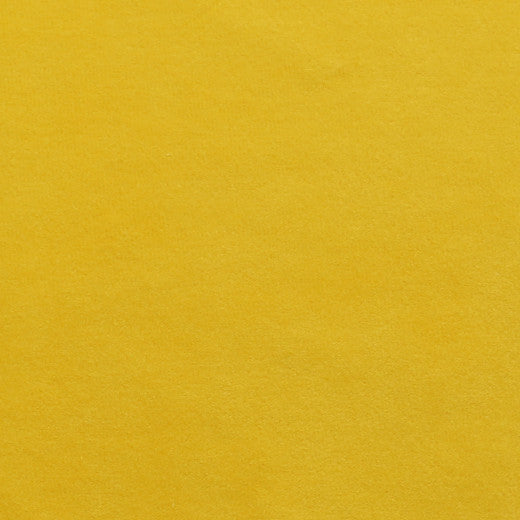 Plush - 09 by Europatex Designer Fabric Plush 100% Polyester China See Sample Horizontal: N/A and Vertical: N/A 55.00 inches  - Swanky Fabrics -