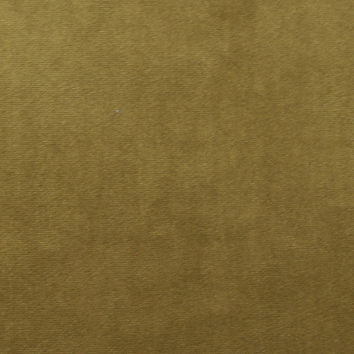Plush 12 by Europatex Designer Fabric Plush 100% Polyester China 35,000 Double Rubs Horizontal: N/A and Vertical: N/A 55" - Swanky Fabrics -