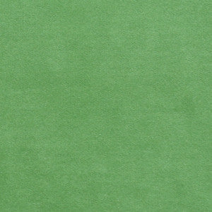 Europatex Fabric Plush 13