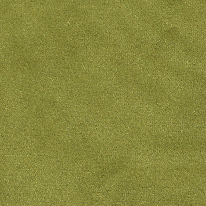 Plush 14 by Europatex Designer Fabric Plush 100% Polyester 0.00" 55.00 inches - Swanky Fabrics -