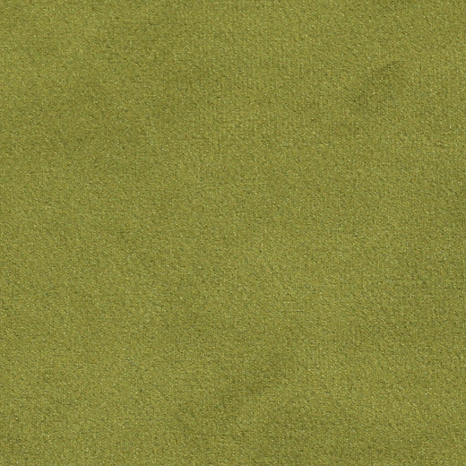 Plush - 14 by Europatex Designer Fabric Plush 100% Polyester China See Sample Horizontal: N/A and Vertical: N/A 55.00 inches  - Swanky Fabrics -