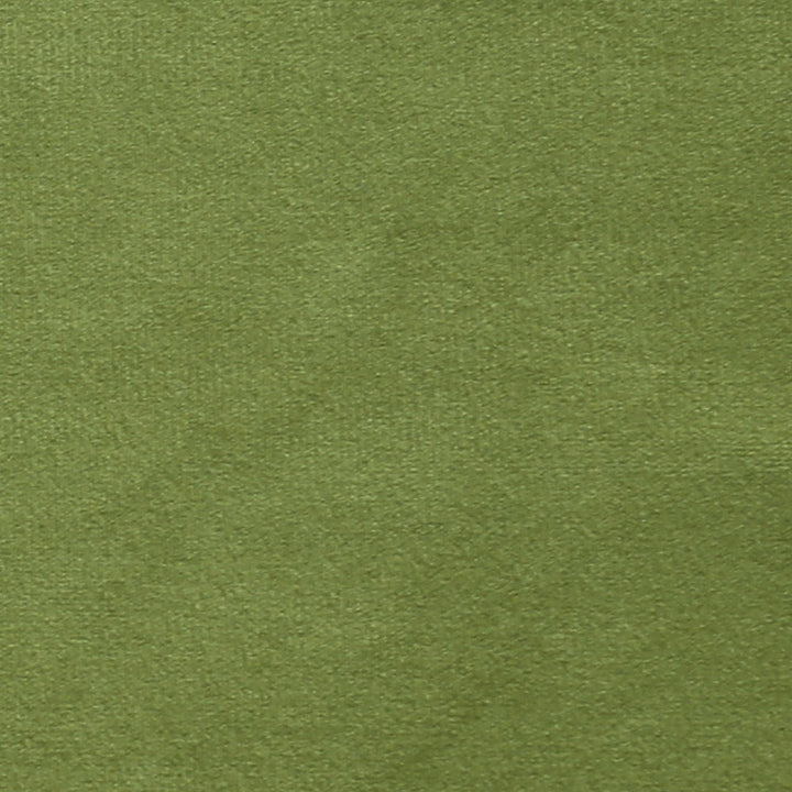 Plush 15 by Europatex Designer Fabric Plush 100% Polyester 0.00" 55.00 inches - Swanky Fabrics -