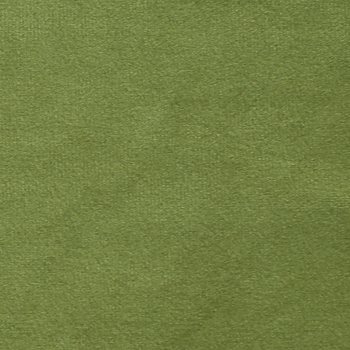 Plush 15 by Europatex Designer Fabric Plush 100% Polyester China 35,000 Double Rubs Horizontal: N/A and Vertical: N/A 55" - Swanky Fabrics -