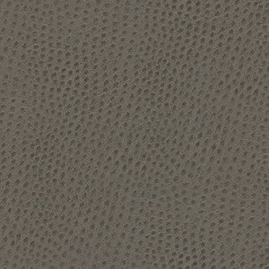 Maxwell Fabric Quill-Nj # 873 Shark
