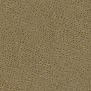 Maxwell Fabric Quill-Nj # 875 Akhal