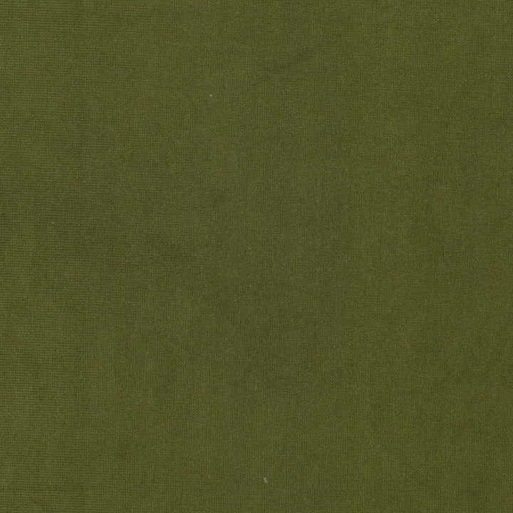 Queen 10 Olive by Stout Fabric Stout Fabric Queen 10 OliveFabric SOLID VELVETS PLUSH PALETTE 95%POL 5%COT CHINA </p><p>Repeat: H: 0.000, V: 0.000 54 in - Fabric Carolina -