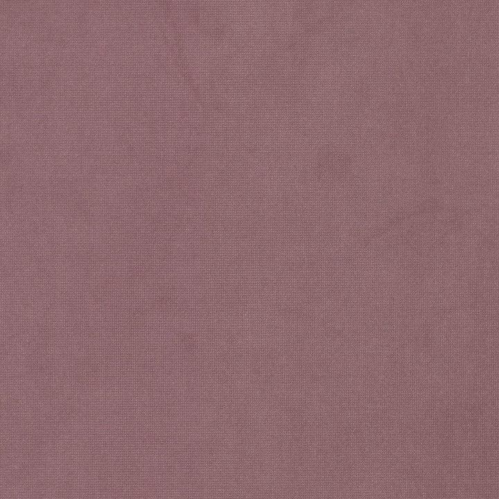 Queen 17 Fuchsia by Stout Fabric Stout Fabric Queen 17 FuchsiaFabric SOLID VELVETS PLUSH PALETTE 95%POL 5%COT CHINA </p><p>Repeat: H: 0.000, V: 0.000 54 in - Fabric Carolina -