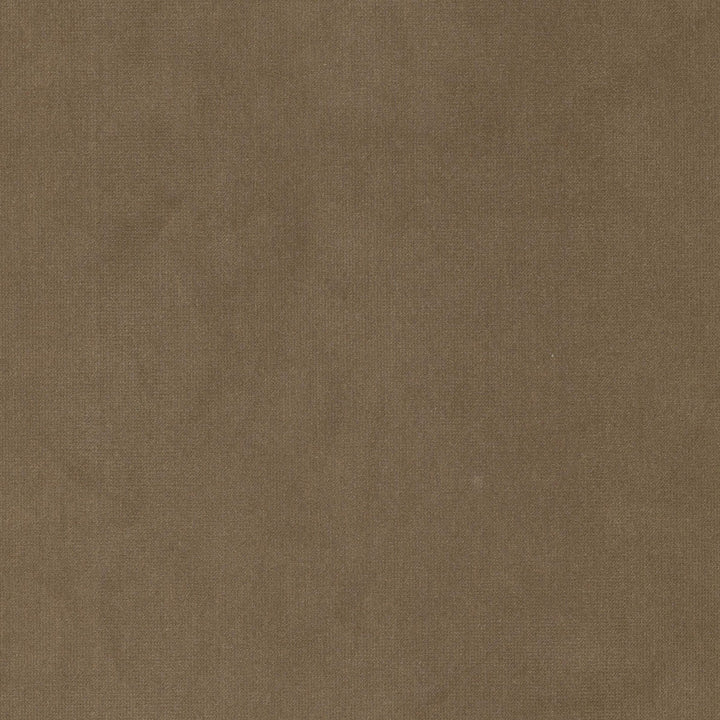 Queen 1 Lion by Stout Fabric Stout Fabric Queen 1 LionFabric SOLID VELVETS PLUSH PALETTE 95%POL 5%COT CHINA </p><p>Repeat: H: 0.000, V: 0.000 54 in - Fabric Carolina -