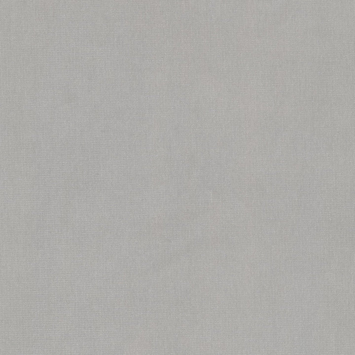 Queen 22 Pumice by Stout Fabric Stout Fabric Queen 22 PumiceFabric SOLID VELVETS PLUSH PALETTE 95%POL 5%COT CHINA </p><p>Repeat: H: 0.000, V: 0.000 54 in - Fabric Carolina -