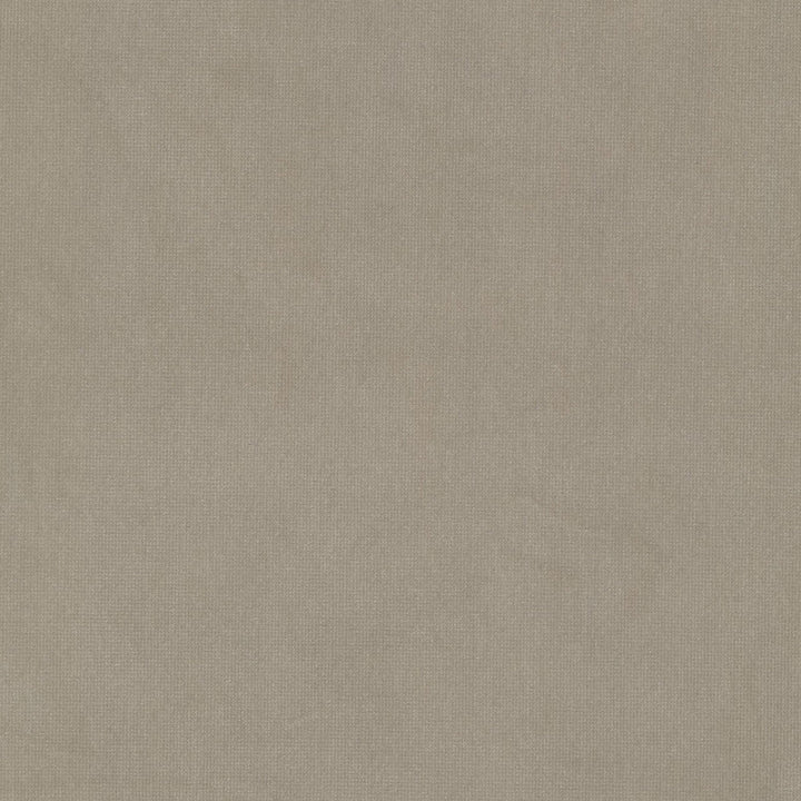 Queen 23 Beige by Stout Fabric Stout Fabric Queen 23 BeigeFabric SOLID VELVETS PLUSH PALETTE 95%POL 5%COT CHINA </p><p>Repeat: H: 0.000, V: 0.000 54 in - Fabric Carolina -