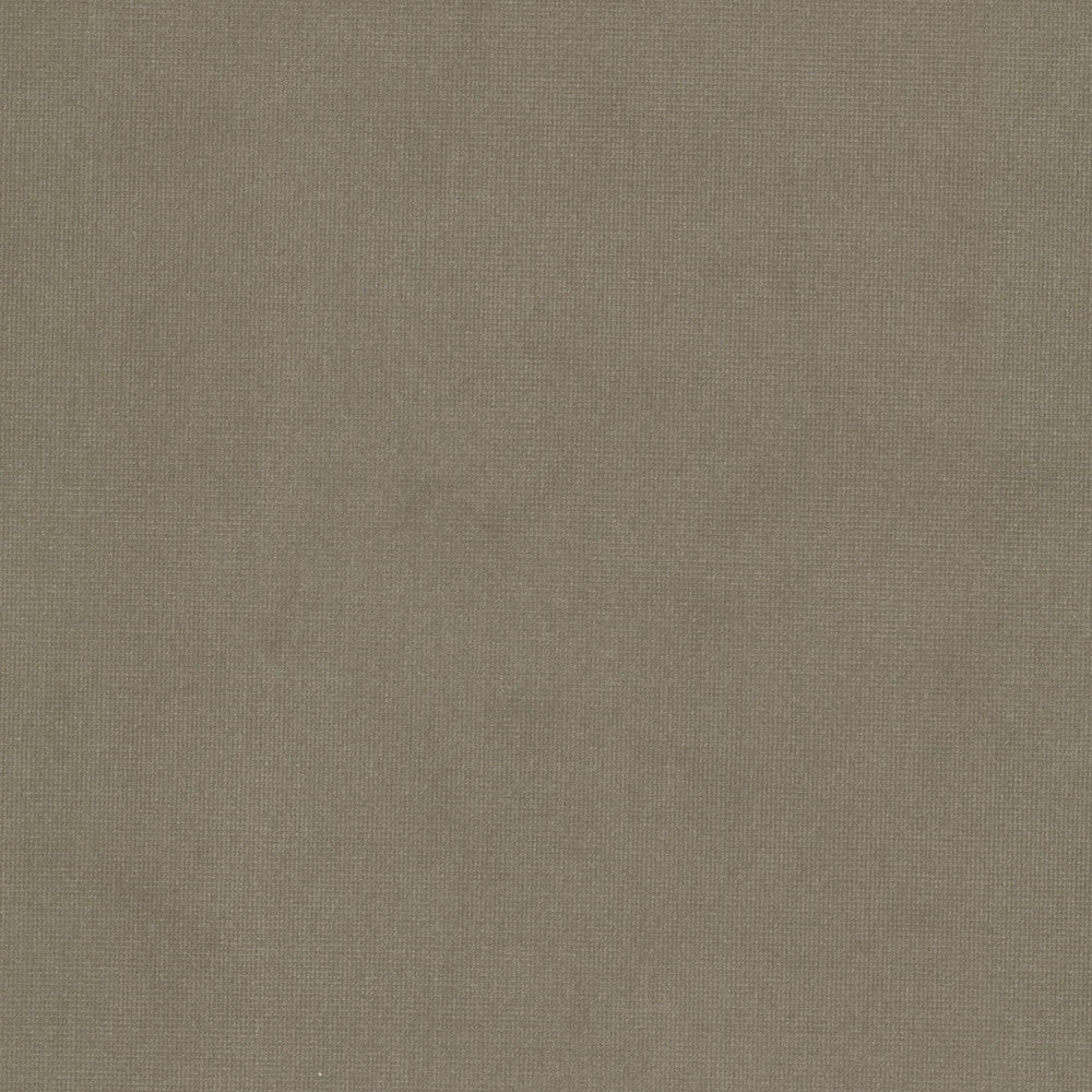 Queen 25 Sandstone by Stout Fabric Stout Fabric Queen 25 SandstoneFabric SOLID VELVETS PLUSH PALETTE 95%POL 5%COT CHINA </p><p>Repeat: H: 0.000, V: 0.000 54 in - Fabric Carolina -