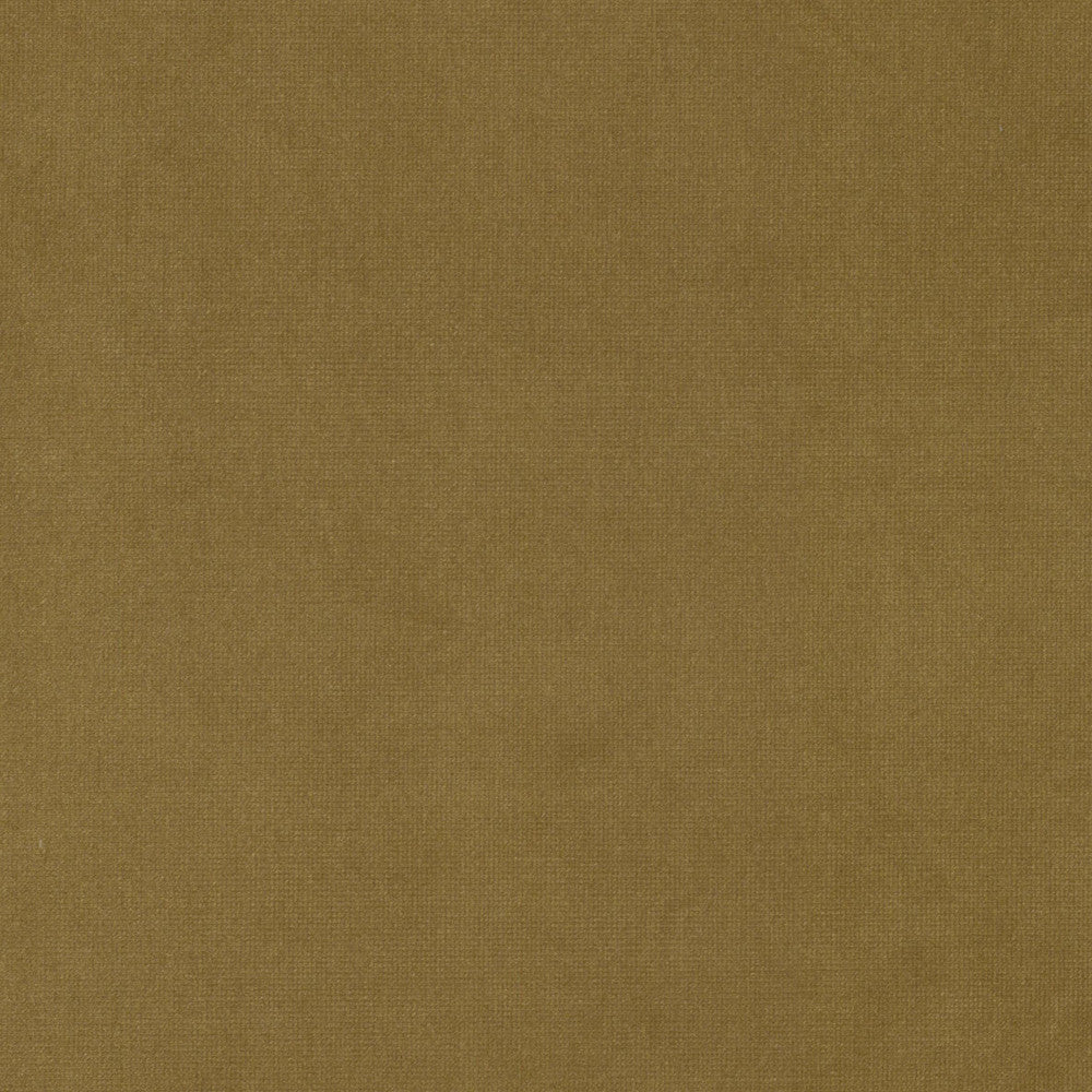 Queen 26 Honey by Stout Fabric Stout Fabric Queen 26 HoneyFabric SOLID VELVETS PLUSH PALETTE 95%POL 5%COT CHINA </p><p>Repeat: H: 0.000, V: 0.000 54 in - Fabric Carolina -