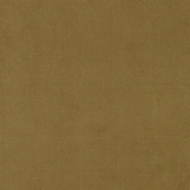 Queen 26 Honey by Stout Fabric Stout Fabric Queen 26 HoneyFabric SOLID VELVETS PLUSH PALETTE 95%POL 5%COT CHINA </p><p>Repeat: H: 0.000, V: 0.000 54 in - Fabric Carolina -