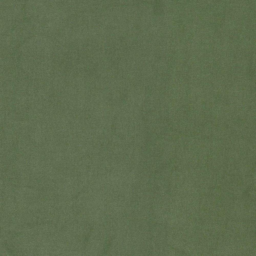 Queen 7 Sage by Stout Fabric Stout Fabric Queen 7 SageFabric SOLID VELVETS PLUSH PALETTE 95%POL 5%COT CHINA </p><p>Repeat: H: 0.000, V: 0.000 54 in - Fabric Carolina -