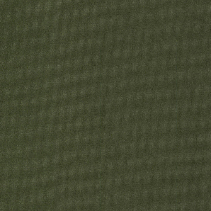 Queen 9 Chive by Stout Fabric Stout Fabric Queen 9 ChiveFabric SOLID VELVETS PLUSH PALETTE 95%POL 5%COT CHINA </p><p>Repeat: H: 0.000, V: 0.000 54 in - Fabric Carolina -