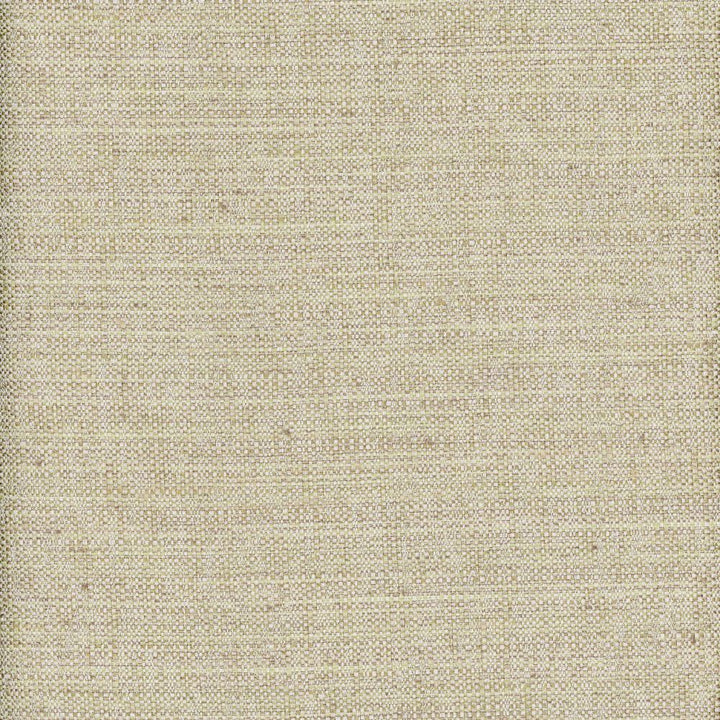 Quinn Kiwi by Heritage Fabric - USA or Imported Horizontal: and Vertical: - Fabric Carolina -