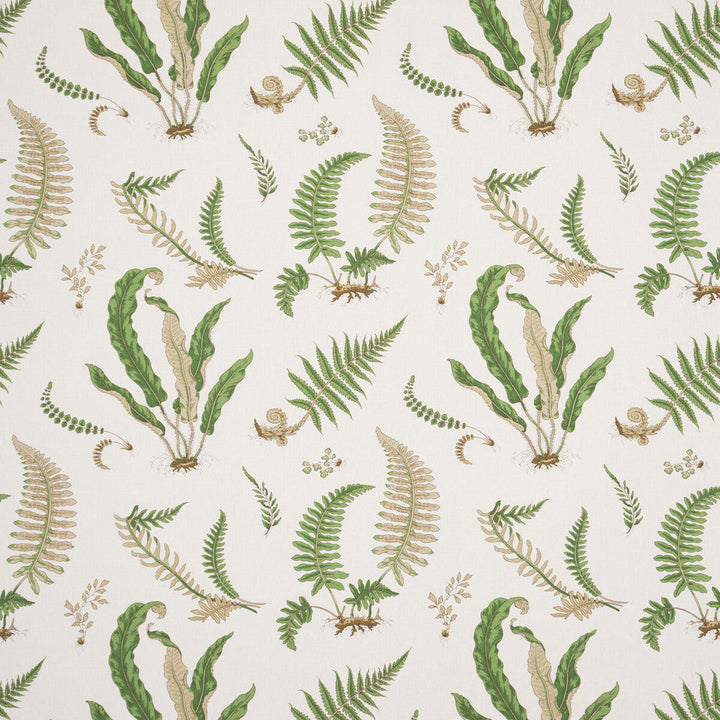 Ferns - Linen Stone/Green by G P & J Baker Designer Fabric PERENNIA LINEN - 60%;COTTON - 20%;VISCOSE - 20% United Kingdom Horizontal: 26.989 and Vertical: 24.822 53.978 - Swanky Fabrics -