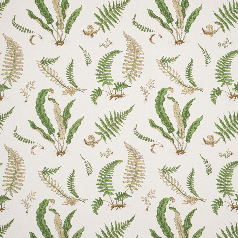 Ferns - Linen Stone/Green by G P & J Baker Fabric G P & J Baker Fabric Ferns - Linen Stone/GreenFabric PERENNIA LINEN - 60%;COTTON - 20%;VISCOSE - 20% United Kingdom </p><p>Repeat: H: 26.989, V: 24.822 53.978 - Fabric Carolina -