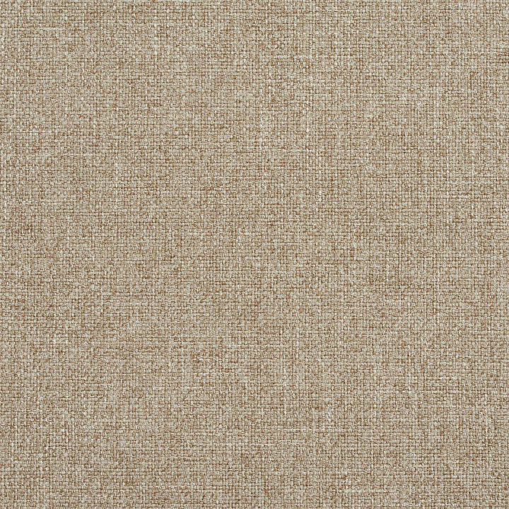 R134 Dove by Charlotte Designer Fabric Ring Book Page #24B 100% Woven Polyester Asia Exceeds 70,000 Wyzenbeek Rubs (Heavy Duty) </p><p>Repeat: 54 Inches - Swanky Fabrics -
