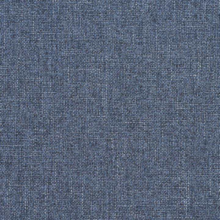 R135 Dresden by Charlotte Designer Fabric Ring Book Page #24B 100% Woven Polyester Asia Exceeds 70,000 Wyzenbeek Rubs (Heavy Duty) </p><p>Repeat: 54 Inches - Swanky Fabrics -