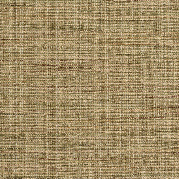R150 Rosemary by Charlotte Designer Fabric Ring Book Page #23B 86% Polyester, 14% Acrylic Made In USA Exceeds 75,000 Wyzenbeek Rubs (Heavy Duty) No Repeat 54 Inches - Swanky Fabrics -