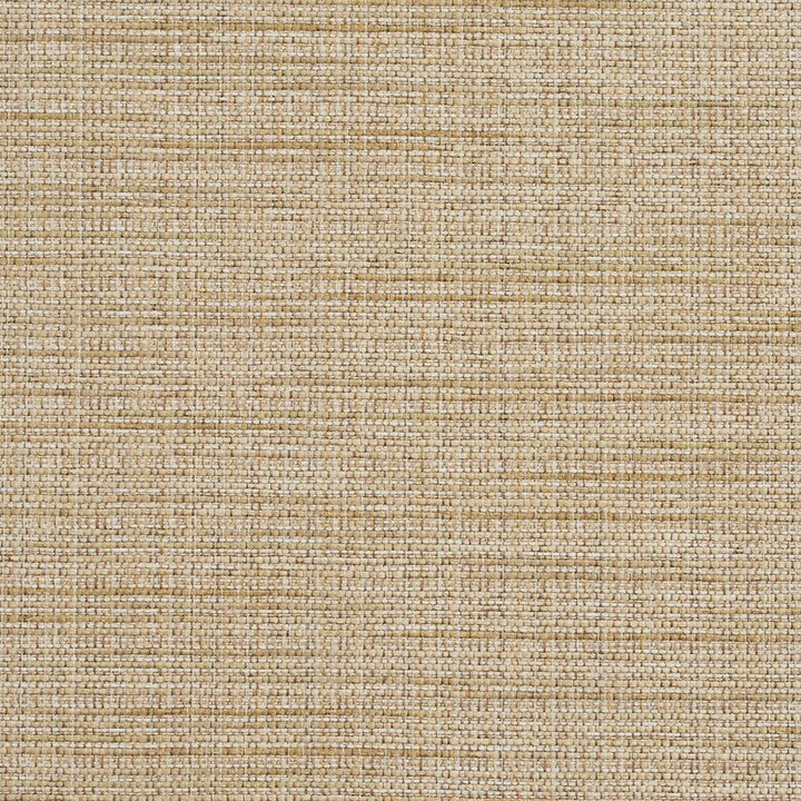 R154 Sesame by Charlotte Designer Fabric Ring Book Page #23B 86% Polyester, 14% Acrylic Made In USA Exceeds 75,000 Wyzenbeek Rubs (Heavy Duty) </p><p>Repeat: 54 Inches - Swanky Fabrics -