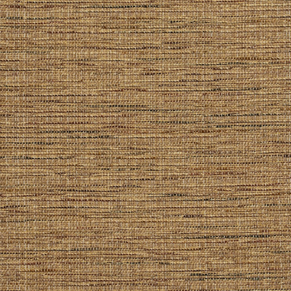 R155 Harvest by Charlotte Designer Fabric Ring Book Page #23B 86% Polyester, 14% Acrylic Made In USA Exceeds 75,000 Wyzenbeek Rubs (Heavy Duty) No Repeat 54 Inches - Swanky Fabrics -