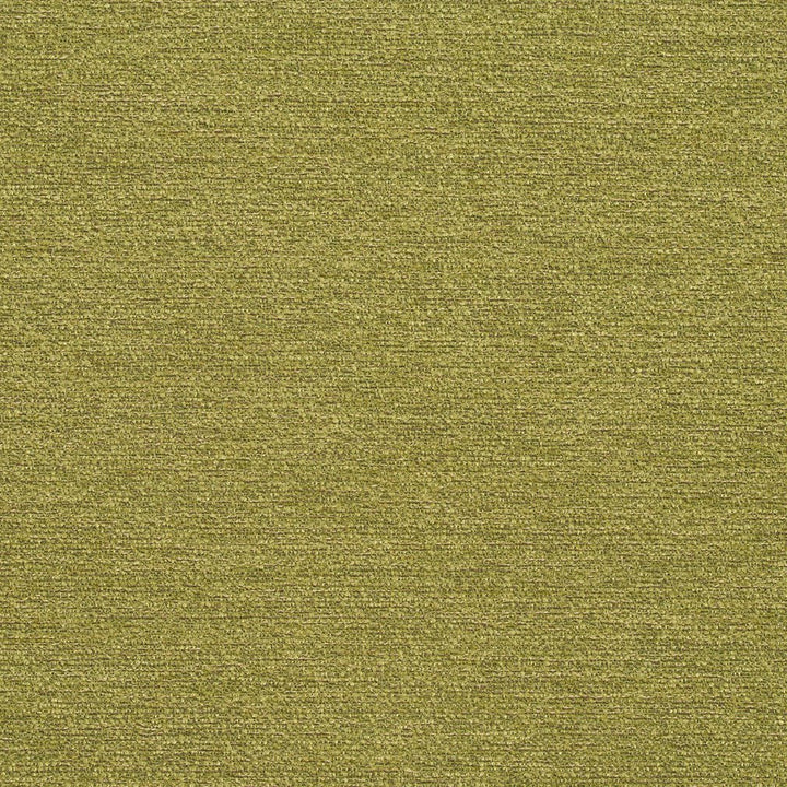 R171 Spring by Charlotte Designer Fabric Ring Book Page #22B 100% Woven Polyester Asia Exceeds 100,000 Wyzenbeek Rubs (Heavy Duty) No Repeat 54 Inches - Swanky Fabrics -