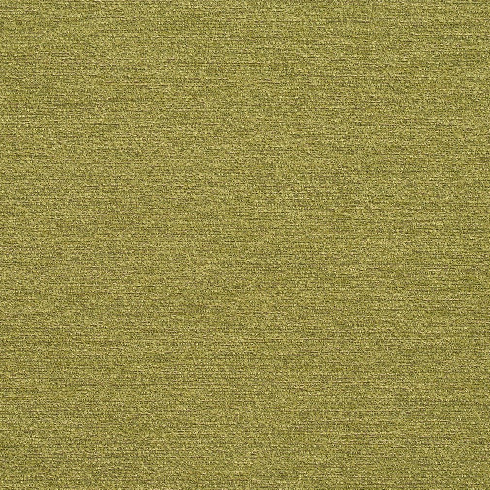 R171 Spring by Charlotte Designer Fabric Ring Book Page #22B 100% Woven Polyester Asia Exceeds 100,000 Wyzenbeek Rubs (Heavy Duty) No Repeat 54 Inches - Swanky Fabrics -