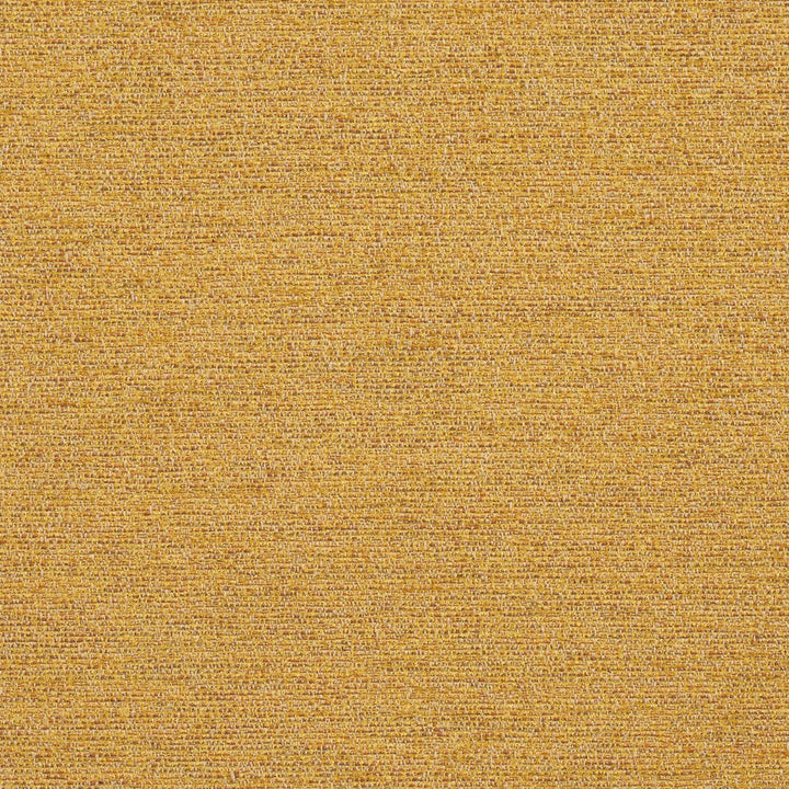R172 Saffron by Charlotte Designer Fabric Ring Book Page #22B 100% Woven Polyester Asia Exceeds 100,000 Wyzenbeek Rubs (Heavy Duty) </p><p>Repeat: 54 Inches - Swanky Fabrics -