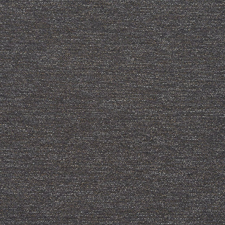 R174 Slate by Charlotte Designer Fabric Ring Book Page #22B 100% Woven Polyester Asia Exceeds 100,000 Wyzenbeek Rubs (Heavy Duty) </p><p>Repeat: 54 Inches - Swanky Fabrics -