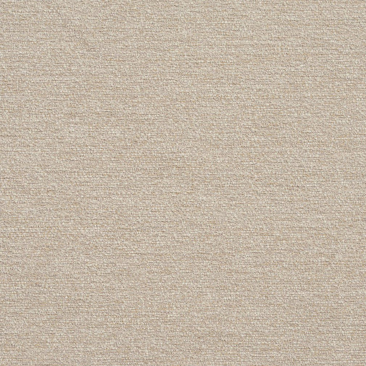 R178 Stucco by Charlotte Designer Fabric Ring Book Page #22B 100% Woven Polyester Asia Exceeds 100,000 Wyzenbeek Rubs (Heavy Duty) No Repeat 54 Inches - Swanky Fabrics -