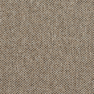 Charlotte Fabric R251 Lexington