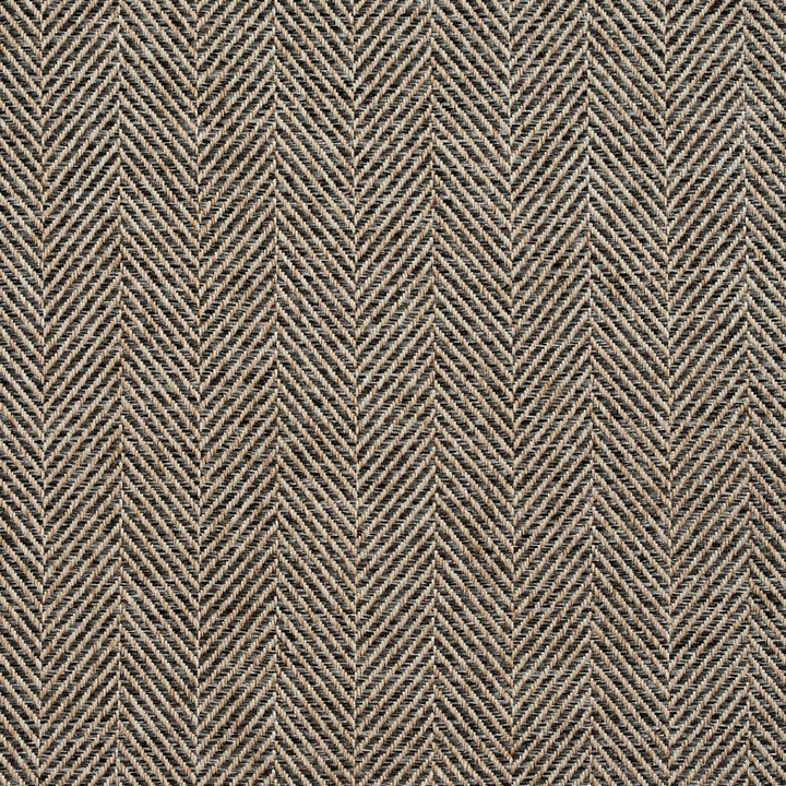 R252 Fargo by Charlotte Designer Fabric Ring Book Page #17B 100% Woven Polyester Asia Exceeds 80,000 Wyzenbeek Rubs (Heavy Duty) Horizontal: 2.25" 54 Inches - Swanky Fabrics -