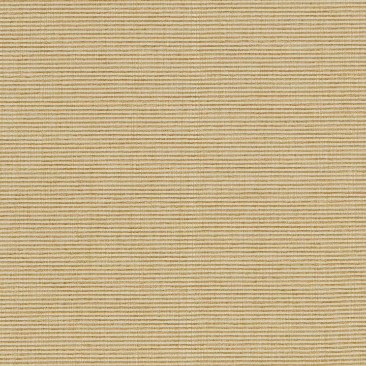 R261 Sand by Charlotte Designer Fabric Ringbook Page #13b 51% Cotton, 30% Polyester, 19% Rayon Asia Exceeds 120,000 Wyzenbeek Rubs (Heavy Duty) No Repeat 54 Inches - Swanky Fabrics -