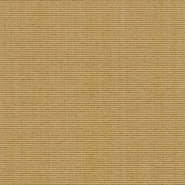 R263 Wheat by Charlotte Designer Fabric Ringbook Page #13b 51% Cotton, 30% Polyester, 19% Rayon Asia Exceeds 120,000 Wyzenbeek Rubs (Heavy Duty) No Repeat 54 Inches - Swanky Fabrics -