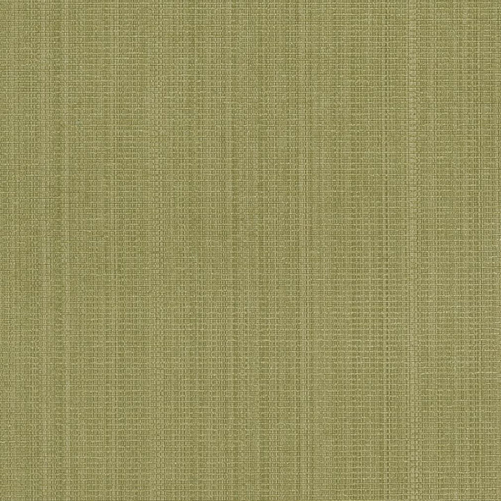R264 Sage by Charlotte Designer Fabric Ringbook Page #13b 51% Cotton, 30% Polyester, 19% Rayon Asia Exceeds 120,000 Wyzenbeek Rubs (Heavy Duty) No Repeat 54 Inches - Swanky Fabrics -