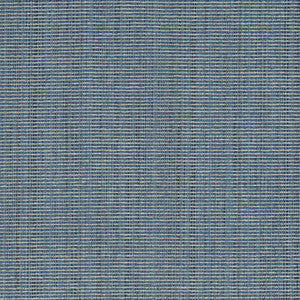 Charlotte Fabric R266 Chambray