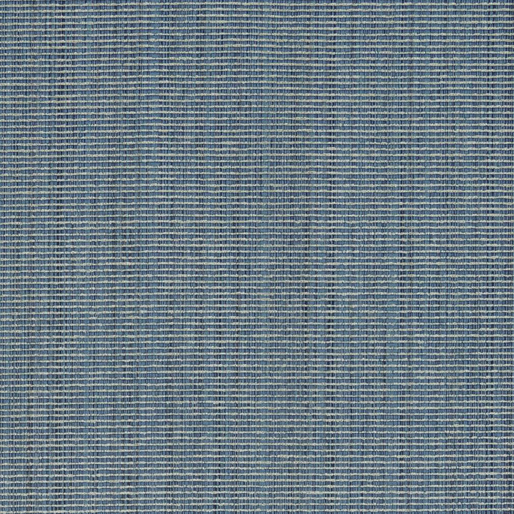 R266 Chambray by Charlotte Designer Fabric Ringbook Page #13b 51% Cotton, 30% Polyester, 19% Rayon Asia Exceeds 120,000 Wyzenbeek Rubs (Heavy Duty) </p><p>Repeat: 54 Inches - Swanky Fabrics -