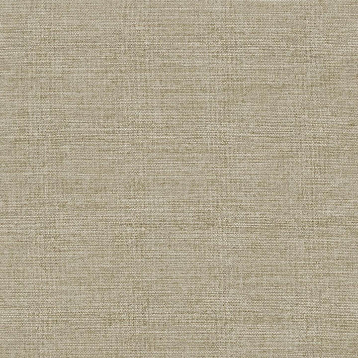 R283 Fawn by Charlotte Designer Fabric Ringbook Page #14b 100% Woven Polyester Asia Exceeds 120,000 Wyzenbeek Rubs (Heavy Duty) No Repeat 54 Inches - Swanky Fabrics -